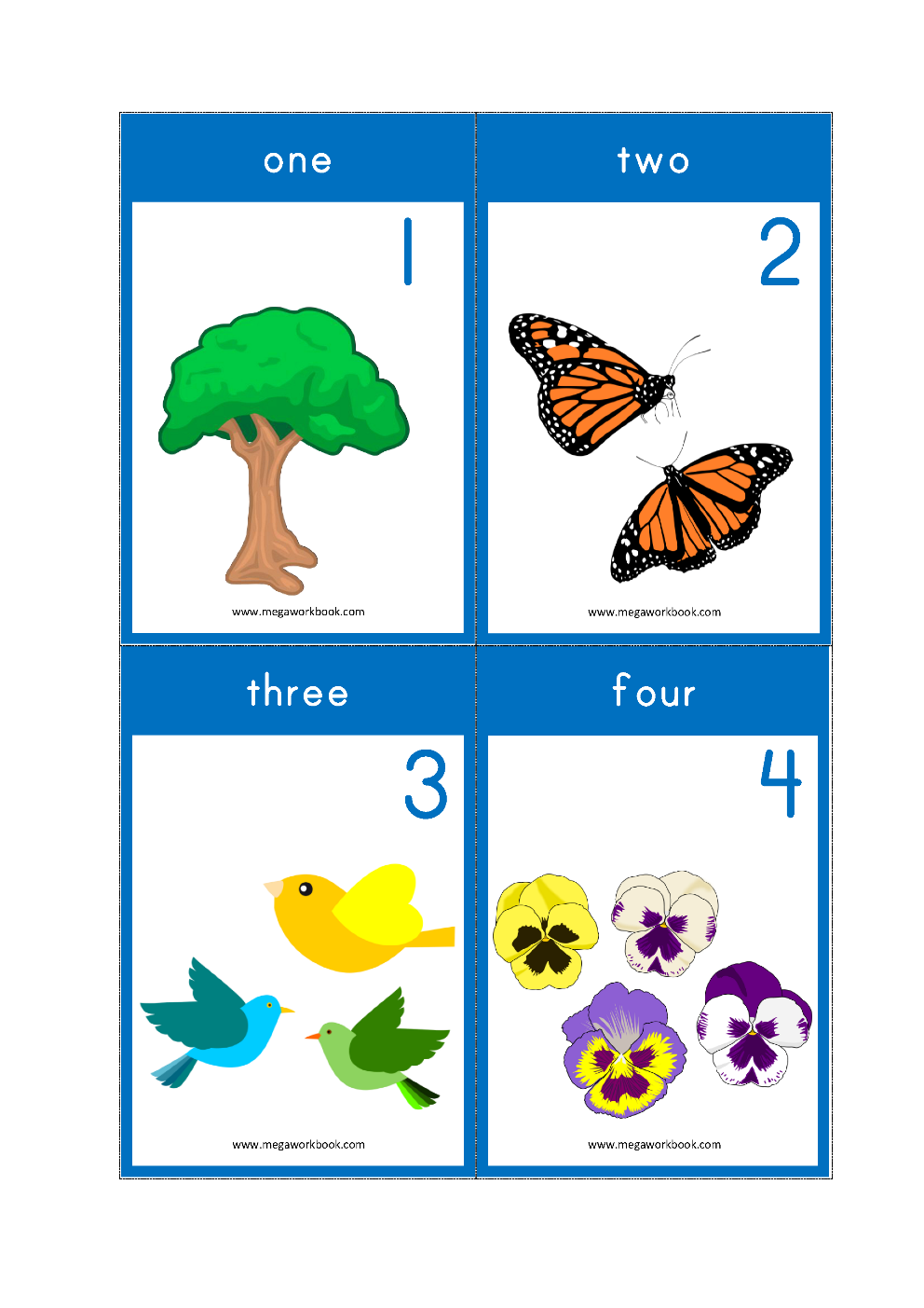 Number Counting Flash Cards