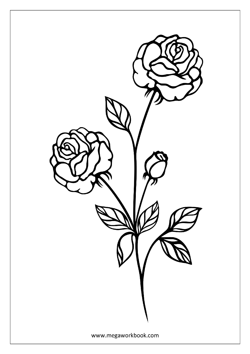 Flower Coloring Pages Plant Tree Coloring Pages Leaf Coloring
