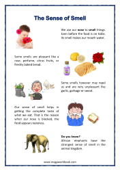 Five Senses Worksheets - Sense of Smell Explained - Sense Organ Nose - For Preschool And Kindergarten
